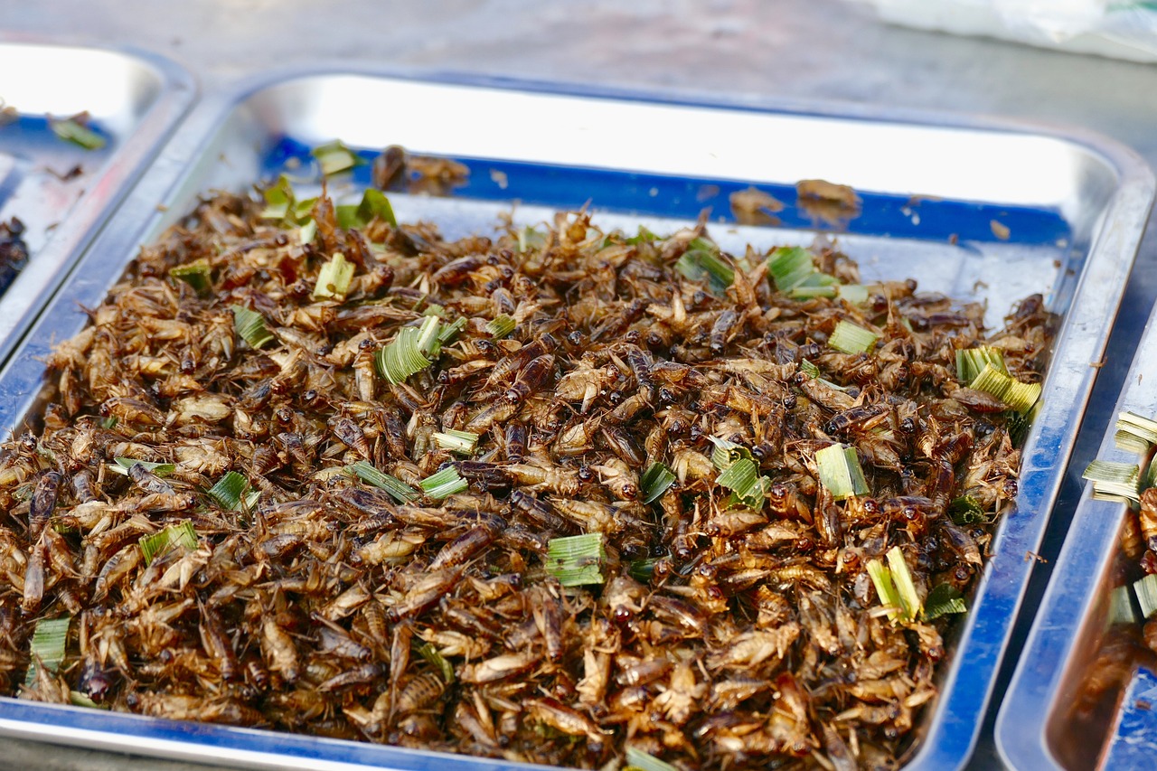 Insekten in Lebensmitteln